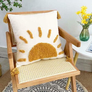 �I�[���V �Q���p �����` ���J�o�[ �\�t�@�w���� �\�t�@�p �������J�o�[ ���z�c�J�o�[ �k�� �t�����W ���킢�� ������� 50×50cm