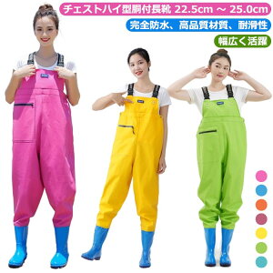 tFg\[ cA C `FXgnC  X[c `FXgnC k |Pbg 22.5cm`25.0cm h h EF[_[