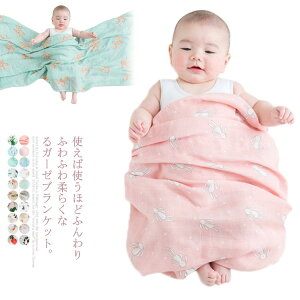  P[v uPbg Q CX^f lC Ԃ t  K[[Pbg xr[Pbg xr[