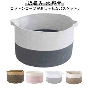 ނXg [voXPbg [JS 󂩂 [ ܏ ʂ G݂ ߋ h[oXPbg ނXgbJ[