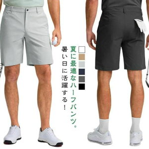 傫TCY z  Lk Stpc y V[gpc 5 Y V[gpc Xgb` G StEFA 