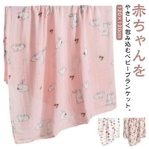 CX^f Q ѕz ۈ牀 | xr[uPbg  xr[ ėp uPbg K[[Pbg K[[