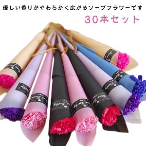 v[ Mtg EGfBO Cxg w ʉ 蕨 o ԑ ot[ 1 J[l[V ̓ \[vt[