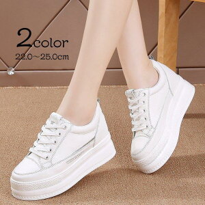 EH[L fB[X Cq[Xj[J[ Xj[J[ 