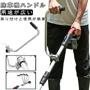 g}[Obv @pg}[nh @ObvE