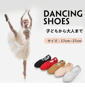 Sz _炩 ̎q _XV oGV[Y q`l