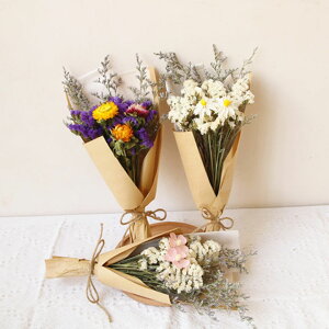 hCt[ ̓ ܕt  Iׂ13F v[g   ꂢ hV̓ ԑ  ԍ sv i`  vU[uht[ a ͂Ȃ t