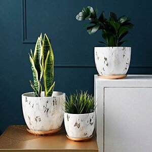 v^[AȐAؔApZ~bNgCt~`AT{e݂艺v^[Aؔz[K[fLb`T{eAؔ i