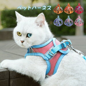 ybgn[lX [h Zbg  L U  `bL ʋC ł K ȒP  ɂ ^ ^ S  ϋv _炩 [ht