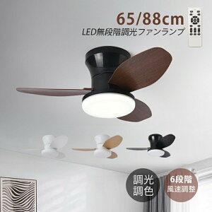 V[Ot@Cg LED 6 8 10 ؖڒ F k  VƖ V[OCg t@t _CjO rO Qp a T[L[^[ É V[Ot@