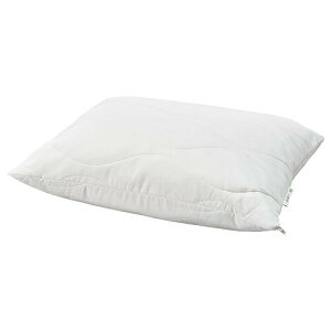 CPA GSm~NXA p 50x60cm m30596193 LOKSTAMFLY [NX^tC CeA Q ܂  s[  Vv k 킢