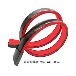 AX|C[ ėp LEDCgt J[{^Cv y gNX|C[ Yf@ە 100cm 110cm 120cm u[Lvt X|C[ t hXAbv J[{ ʃe[v G