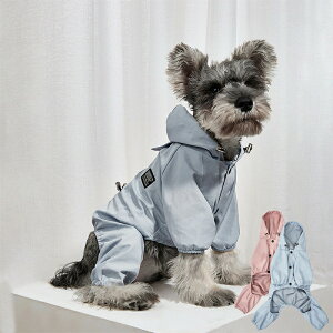  ėp  p[X ^ ybgEFA i   J h ^ ̕ o s U ybgpi 