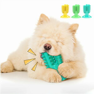 ނ  L    m炨  𐴌 ybgpi  ₵ ^s΍  v XgX