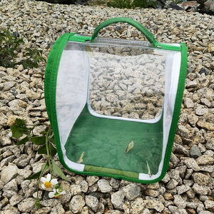  ybg P[W P[W ώ@  ঒ ܂肽 P[W P[X o^tCP[W 甠 ̏W bV  ʋC lbg nh ^ѕ֗ |[