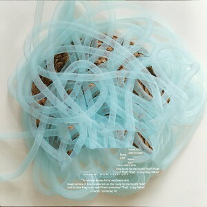 5M a16mm bV`[u A[gpCv Lk`[pCv ANZT[ DIY ޗ |pi pCv ̑^ EFfBOp RXv`f Ȃ郁bVC[ 