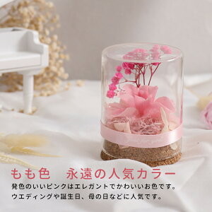 vU[uht[ Mtg ԑ o v[g ͂Ȃ {gt[ av[gEjE\E蕨 KXh[ ̓ ޏ  v[g a j 