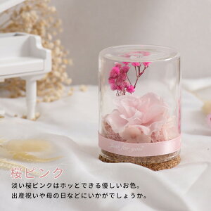 vU[uht[ Mtg ԑ o v[g ͂Ȃ {gt[ av[gEjE\E蕨 KXh[ ̓ ޏ  v[g a j 