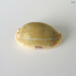 Lk VR  _J  L   IuWF ANAE  nC CeA RNV Ϗܗp fBXvC  VF W{(x3)