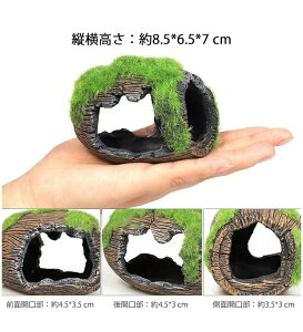  B E[p[[p[ _J  GrB ۂނCM p  CAEg ANAE ybgpi ybgObY xe  ANZT[ ؕ  I