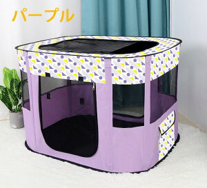 ybgT[N L  P[W LnEX Lxbh eg  L ʋC ybg[  P[WbVt  O LT[N ybgP[W P[W L̕؎   