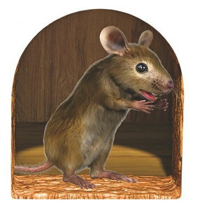 EH[XebJ[ Ǒ XebJ[ CeA V[ \邾 lY~ }EX Ki  q ͗lւ 킢 