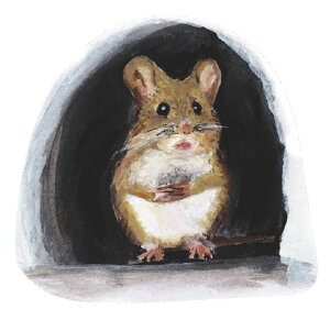 EH[XebJ[ Ǒ XebJ[ CeA V[ \邾 lY~ }EX Ki  q ͗lւ 킢 