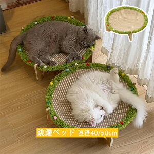 L ~` xbh ߂Ƃ xbh Lxbh ܌ ybgxbh nbN ܌\t@ ėp ʋC 킢 LEW`FA L̒܂Ƃxbh ^sP gݗ ȒP zLX