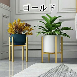 |bg X^h t[X^h  ϗtA a36cm܂őΉ  Lk ACA Aؔ K[fjO bN  O ԑ v^[X^h u gȒP CeA rt