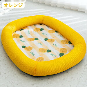 ybgxbh ėp p Lp ybg}bg  L xbh xbh Ђ bVޗ ڐG⊴ p}bg 􂦂 xbh L}bg t Ђ}bg ʋC V[g ~ 