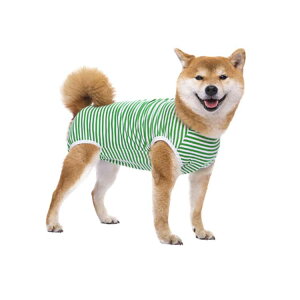  pEFA ^ ^ p㕞 ی rߖh~ GUxXJ[ D   p 앞 jp ё΍ wXibv{^ Lk _炩 ₷ p