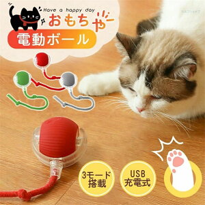  [O{[ USB[d  dL炵 Lp   d{[