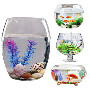  ی^ vX`bNAN ϗtA CeA eANAE {E | e  CeA ԕr 