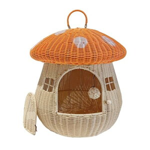 IȊOoƒpybgٕ̑҂݂̑킢L̑hLmR̉ƔL̑