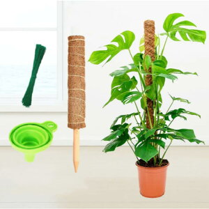 RRXeBbN Xex ϗtA x |x A K[fjOp Ԃ RRibcx AT|[g 鐫A g}g |gX _Ɨp |p |xp[c \