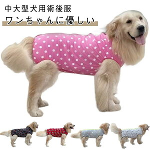  p㕞 ^ ^ pEFA D  ی GUxXJ[ 앞 wWbp[ j̎q ̎q KPAEFA _炩 Ή іh~ IX Xp t`