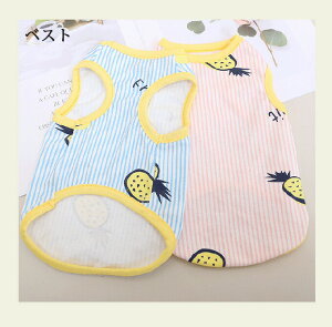 ybg L  2^Cv s[X xXg ybgEFA hbOEGA ybg  IV XgCv s[X L  킢  JWA ₷ o 