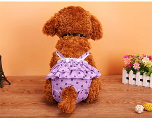 p pc ăTj^[pc TXy_[t ̎qp@}i[pc  ނJo[ ybg pi 킢  hbOEFA ނ ^ o Rbg