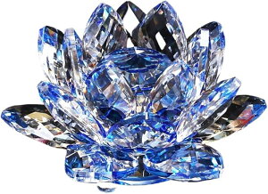 NX^KX  @̉ [^X TLb`[  J^ CeA vY d  IuWF Mtg v[g (O[)