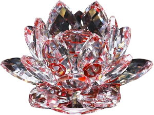 NX^KX  @̉ [^X TLb`[  J^ CeA vY d  IuWF Mtg v[g (O[)