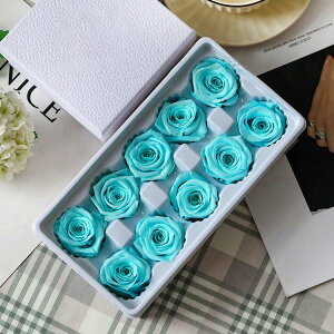 vU[uht[ 110֓ ỉ i ͂Ȃ o Mtg KN [Y v[g hCt[ Ǝ ̓ l l a j  ޏ LO e ސE