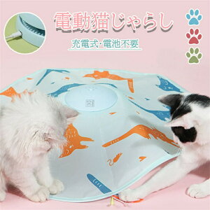 L炵  d L   lV ˂  lR  ] L ߋ ˂炵 LV Lpi ybgpi d邮 L Lp d Ђ V