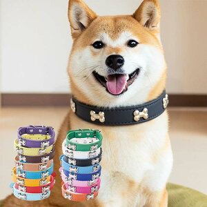 ^ Lp L tFCNU[ U[ S ybg Mtg  ̎ \ v /2I  /2I Vv qL  ybgObY Z