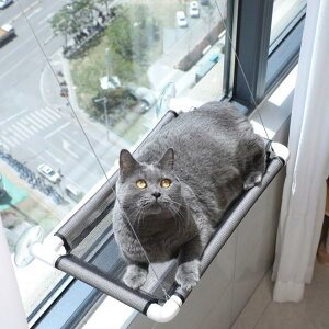 nbN xbh L Lp Q bV EBhExbh | ybgxbh LbgXebv ˂ ͋z L   lR L Lbg zՎ zՃnbN p t