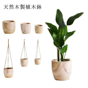 Aؔ i` v^[ ؐ ؐ  ϗtA  Aؔ VR  CeA ~` ی^ Ǌ| k v^[ ԑ Aؔ  |bg