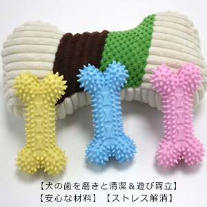 ^  ފߋ ybgp   V _ m炨 ^s XgX   ybgpi  Ck  ϋv p ybg