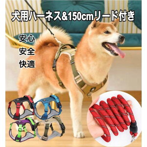 @p@n[lX@@v@hbOn[lX@^@^@^@n[lX@[ht@bV@ց@U@쌢