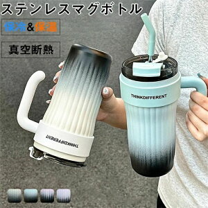 T[X  860ml ^fMP[^C}O ۉEۗ }C{g ItBX wZ X|[c Ƃ  ~ ʊw ʋ w Z Lb`pi 