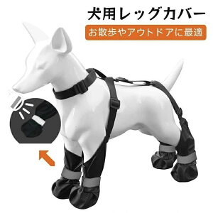 pbOJo[ hbOu[c hbOV[Y  C Eɂ pu[c pu[cMX ~ EȂ