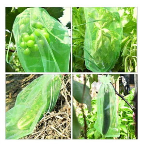 ʎ 100 ʎ | یlbg hlbg Q\h \h 悯lbg  ʎ В ʎ ʕ t[c ʋC bV ʎ ی   Ԃǂ Ȃ т ݂